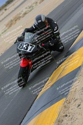 media/Jan-14-2023-SoCal Trackdays (Sat) [[497694156f]]/Turn 9 Inside (11am)/